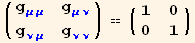 ( {{g_ (μμ)^(μμ), g_ (μν)^(μν)}, {g_ (νμ)^(νμ), g_ (νν)^(νν)}} ) == ( {{1, 0}, {0, 1}} )