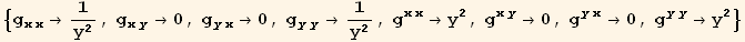 {g_ (xx)^(xx) →1/y^2, g_ (xy)^(xy) →0, g_ (yx)^(yx) →0, g_ (yy)^(yy) →1/y^2, g_ (xx)^(xx) →y^2, g_ (xy)^(xy) →0, g_ (yx)^(yx) →0, g_ (yy)^(yy) →y^2}